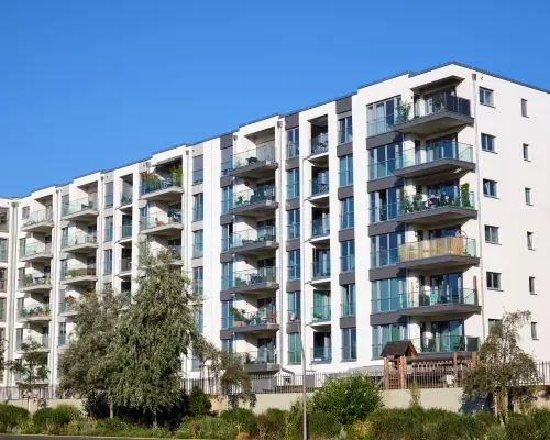 Rental and Pg Construction